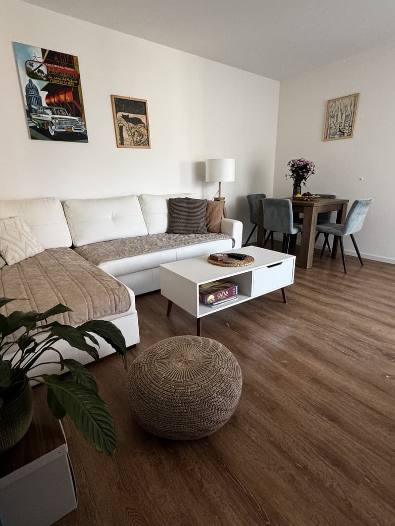 Appartamento 3 locali Zurigo Oerlikon (2)