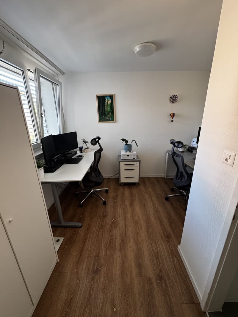 Appartamento 3 locali Zurigo Oerlikon (7)
