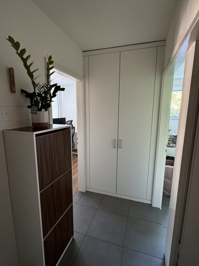 Appartamento 3 locali Zurigo Oerlikon (5)