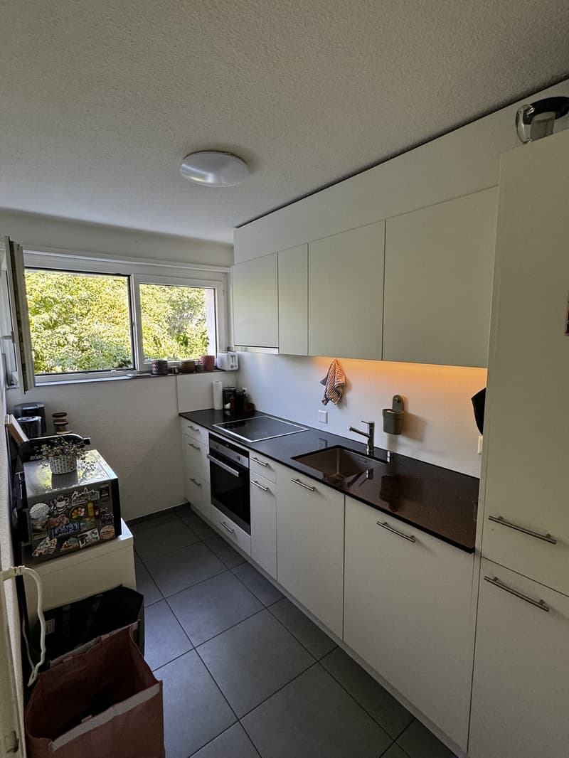 Appartamento 3 locali Zurigo Oerlikon (6)
