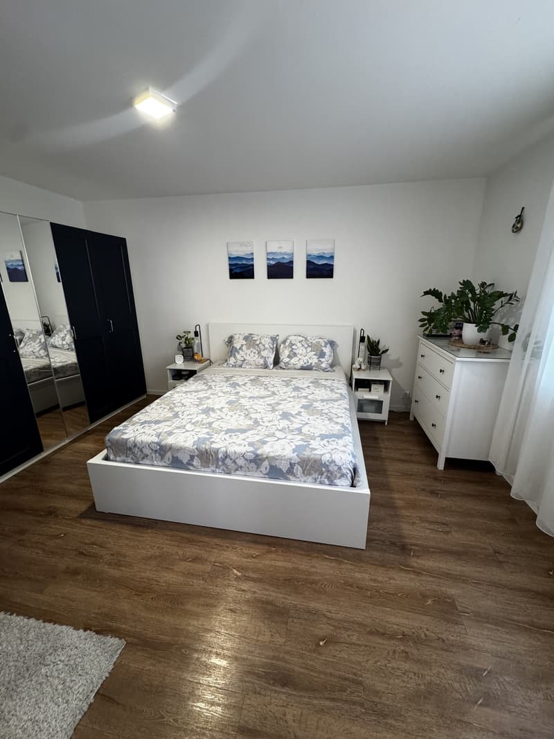Appartamento 3 locali Zurigo Oerlikon (8)