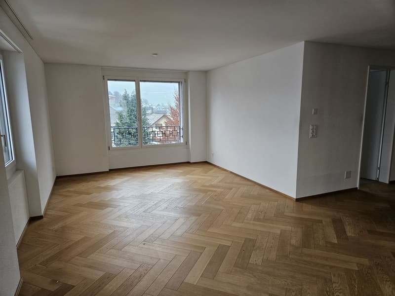 Ampio appartamento moderno (9)