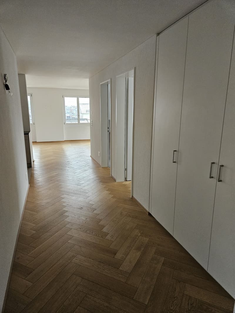 Ampio appartamento moderno (5)
