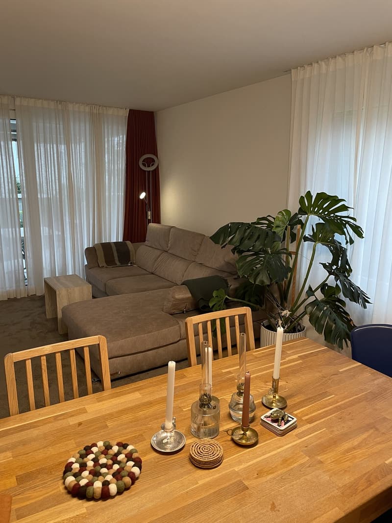 Furnished sublet 3,5-rooms in Baar (2)