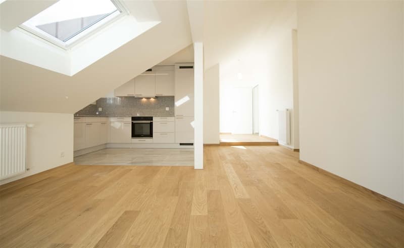 Living room and kitchen