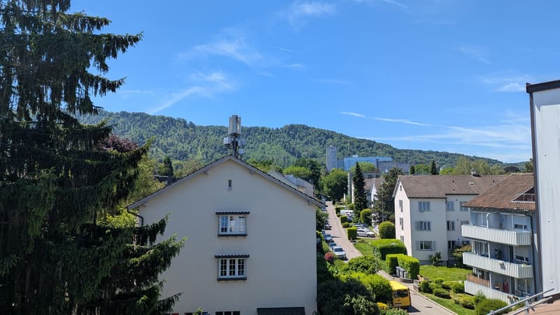 View of Uetliberg from balcony
