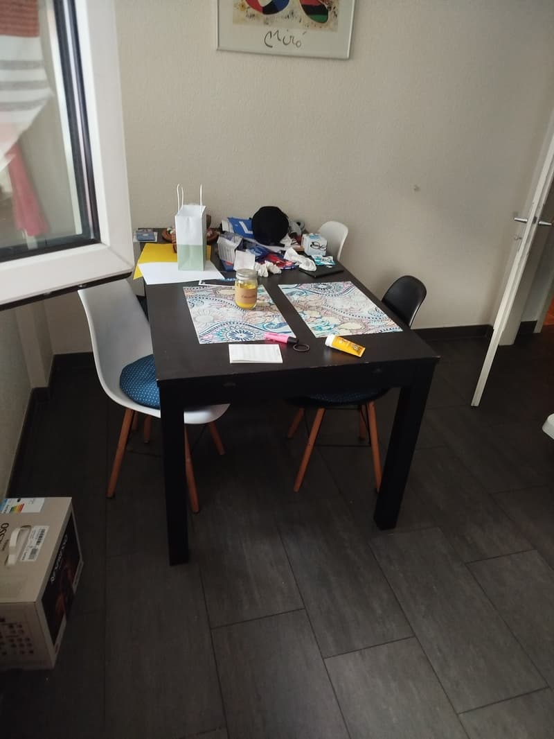 Beautiful 2.5-room apartment in the center of Fribourg - furnished to give away (7)