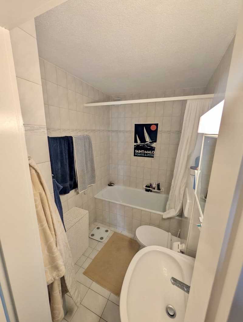 Room in a shared apartment in Seefeld Zurich (7)