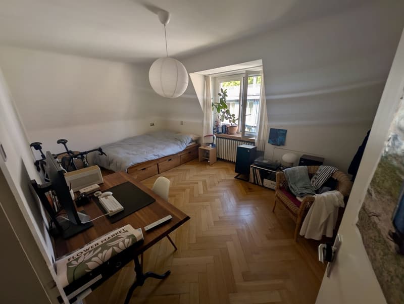 Room in a shared apartment in Seefeld Zurich (4)