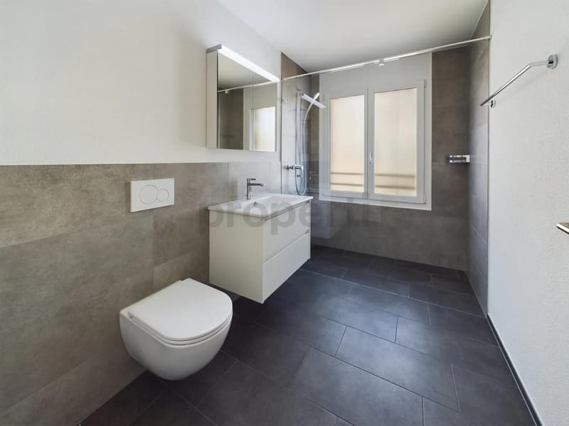 2.5-Zimmer-Wohnung in Zürich Affoltern Nachmieter gesucht (7)