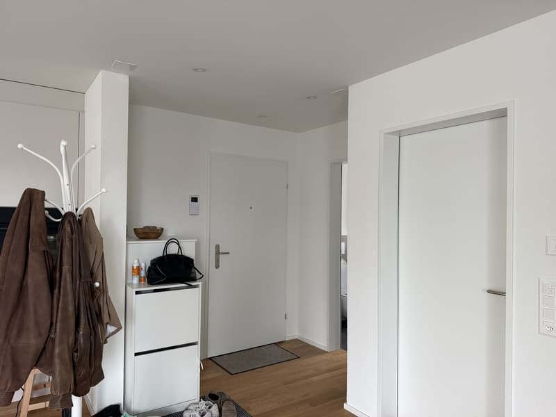 2.5-Zimmer-Wohnung in Zürich Affoltern Nachmieter gesucht (5)
