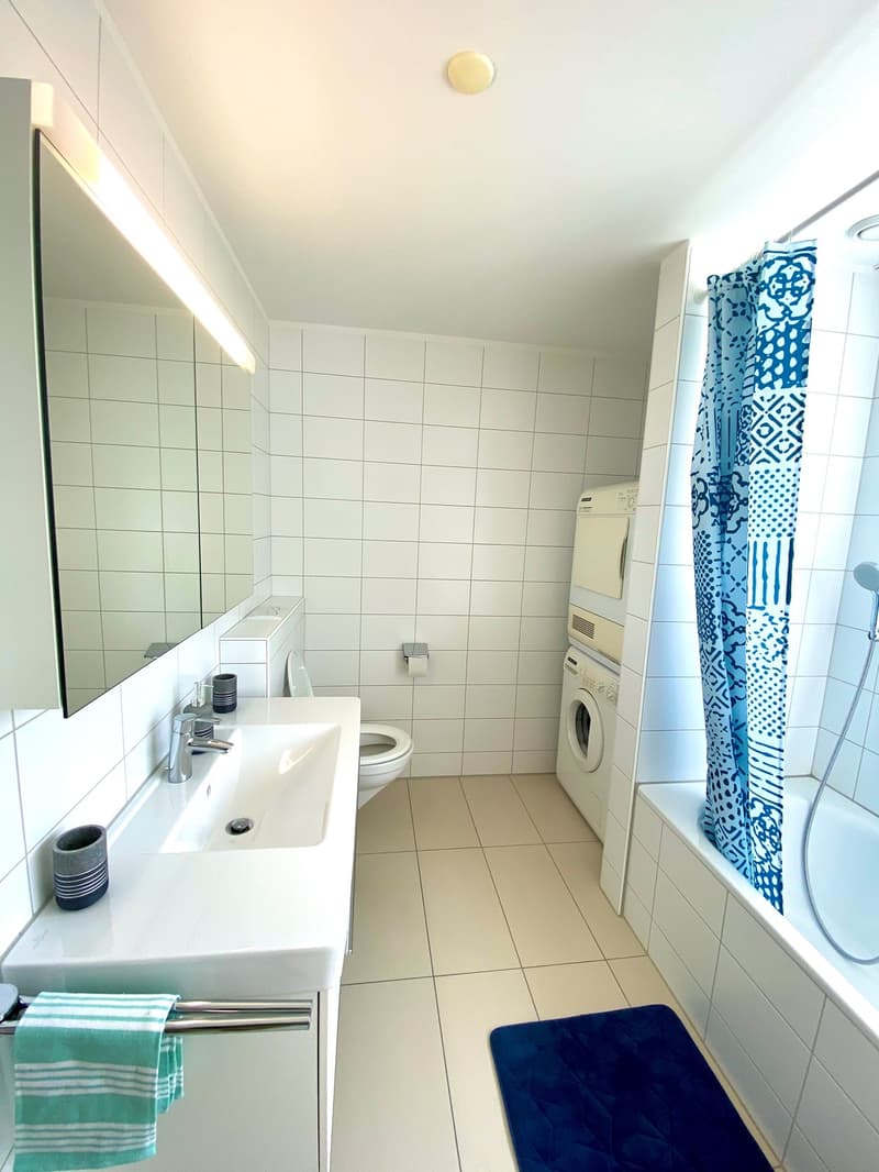 Schönes WG-Zimmer mit idealer Verkehrs-/ÖV Anbindung :) (8)