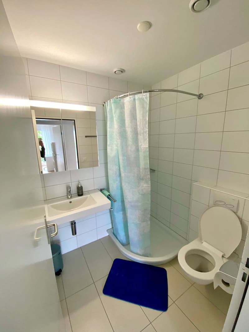 Schönes WG-Zimmer mit idealer Verkehrs-/ÖV Anbindung :) (7)