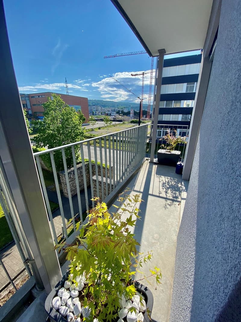 Schönes WG-Zimmer mit idealer Verkehrs-/ÖV Anbindung :) (3)