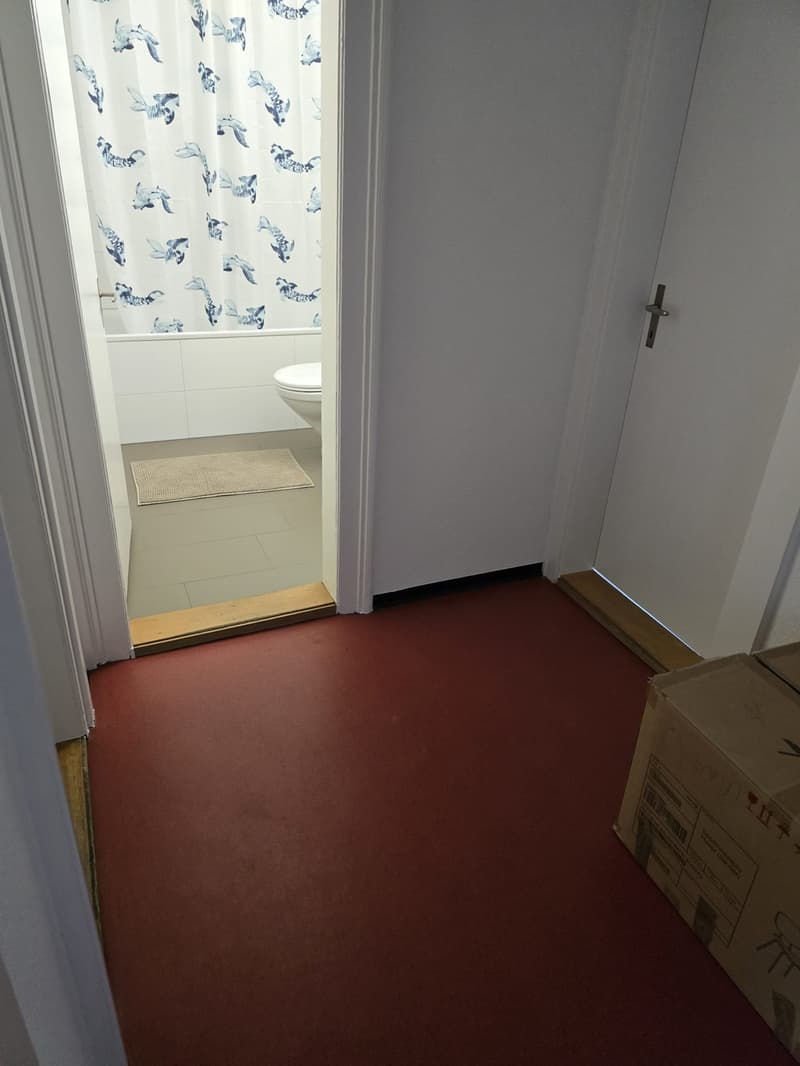 Fully furnished 17.5 sq-m room in a 3 people WG (8)
