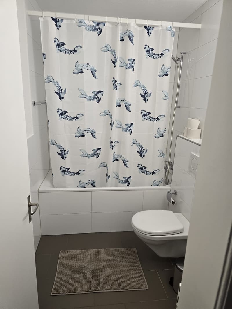 Fully furnished 17.5 sq-m room in a 3 people WG (10)