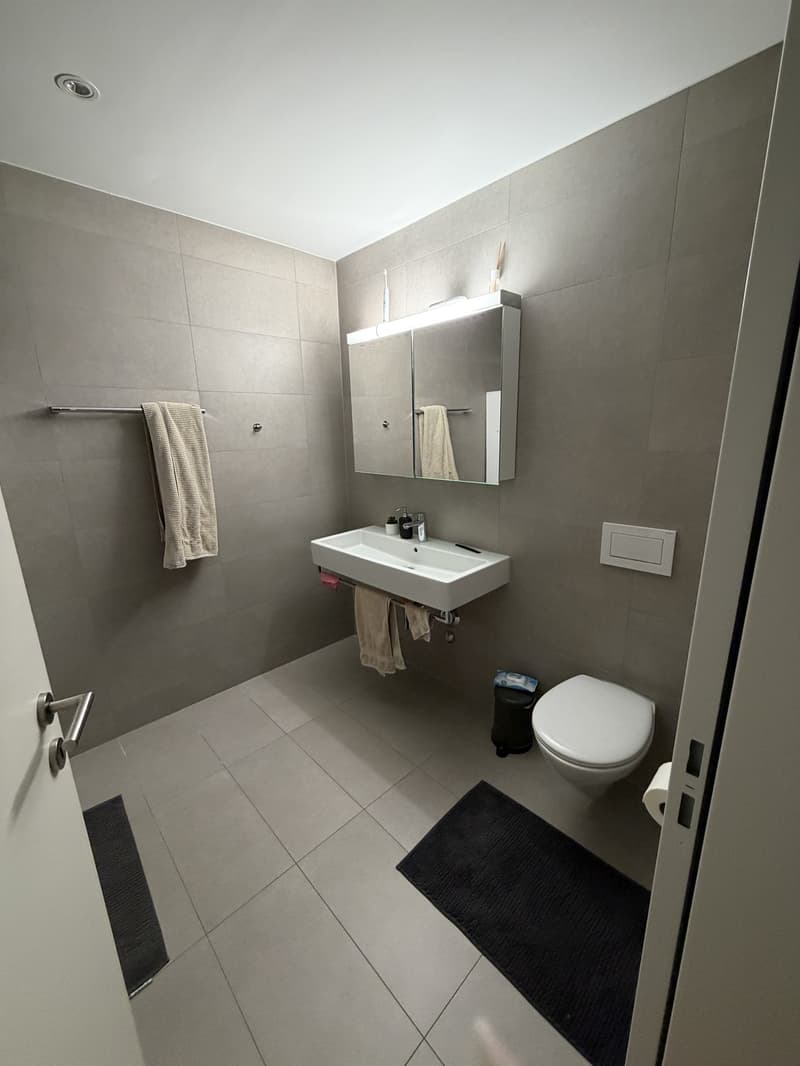 Moderne et Lumineuse : Chambre 17m² près de l'Aéroport de Zurich et Oerlikon (4)