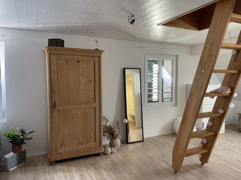 2 Pièces appartement, 8604 Volketswil (4)