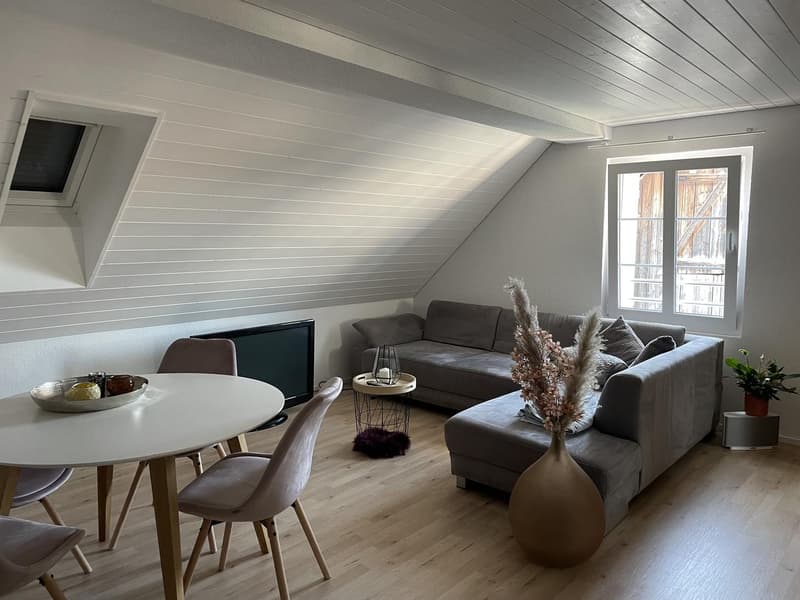 2 Pièces appartement, 8604 Volketswil (1)