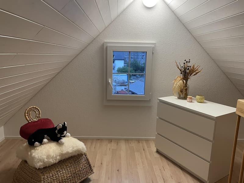 2 Pièces appartement, 8604 Volketswil (7)