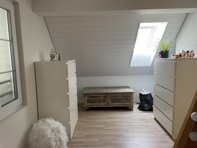 2 Pièces appartement, 8604 Volketswil (5)