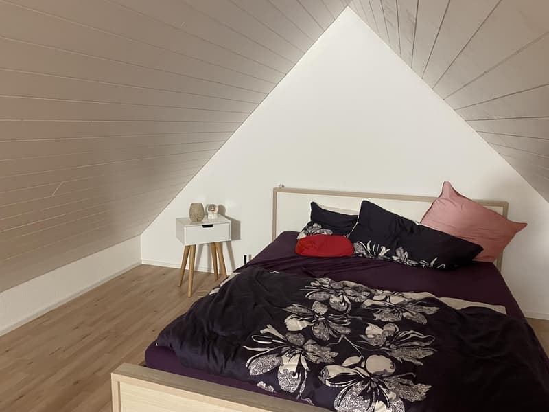 2 Pièces appartement, 8604 Volketswil (6)