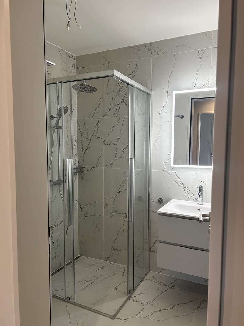 Bright Flat in one of Zurich's most connected addresses Available Immediately or by Arrangement (5)