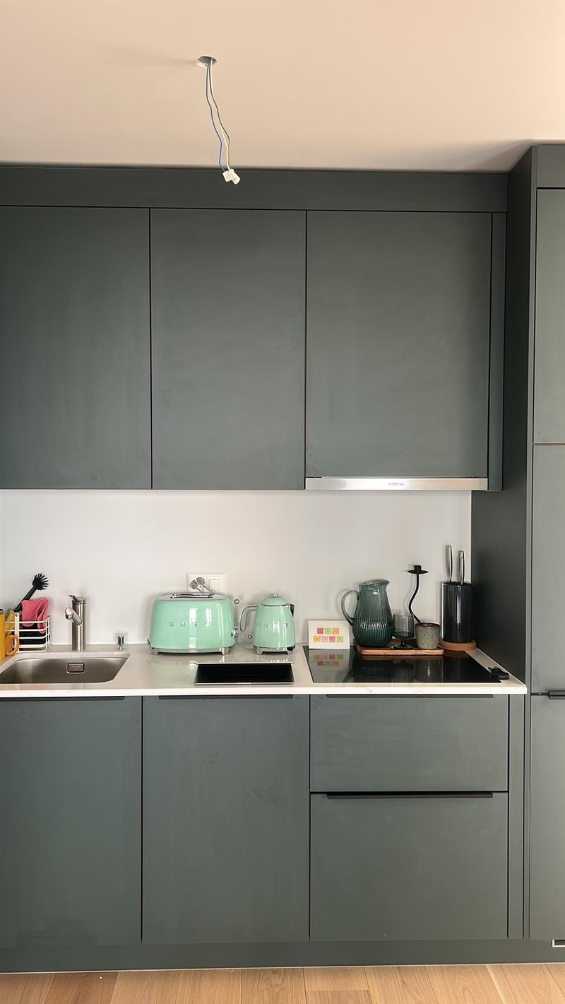 Bright Flat in one of Zurich's most connected addresses Available Immediately or by Arrangement (7)