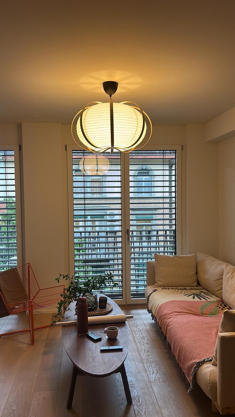 Bright Flat in one of Zurich's most connected addresses Available Immediately or by Arrangement (4)