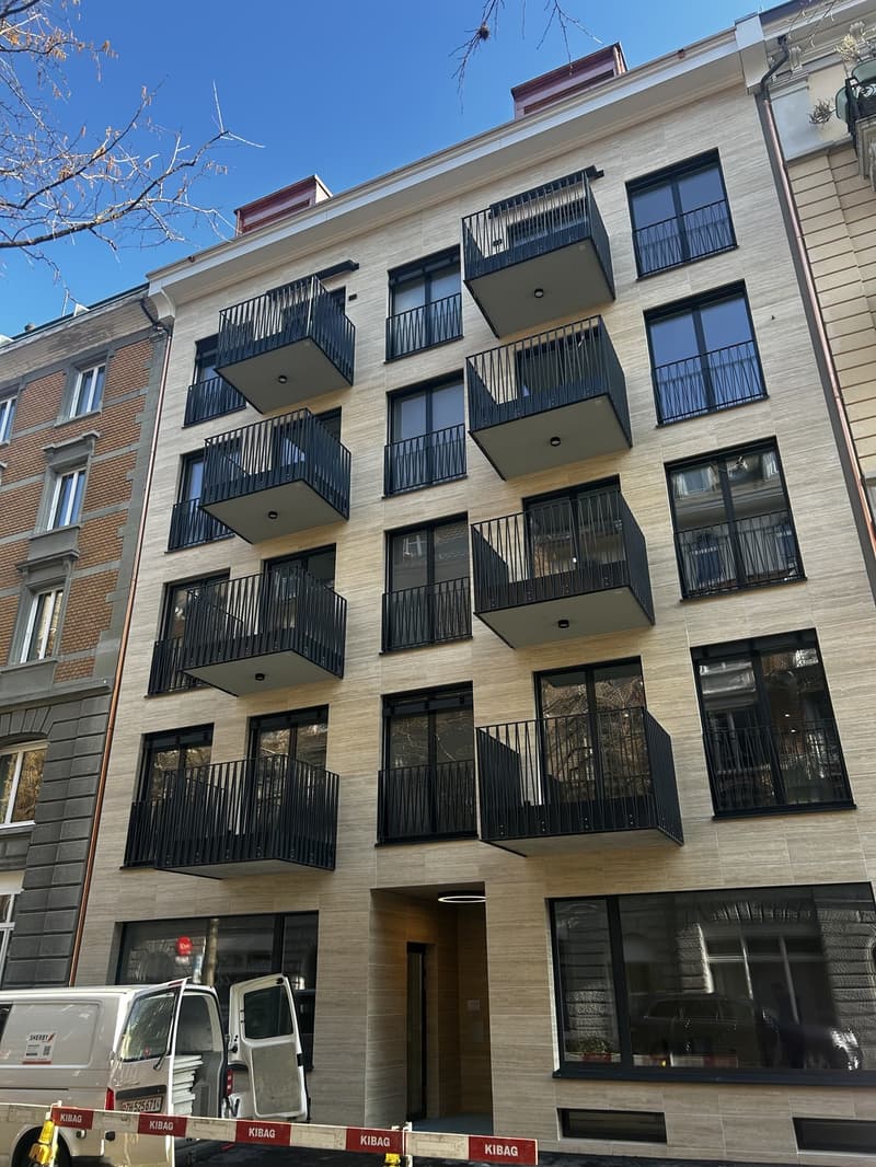 Bright Flat in one of Zurich's most connected addresses Available Immediately or by Arrangement (2)