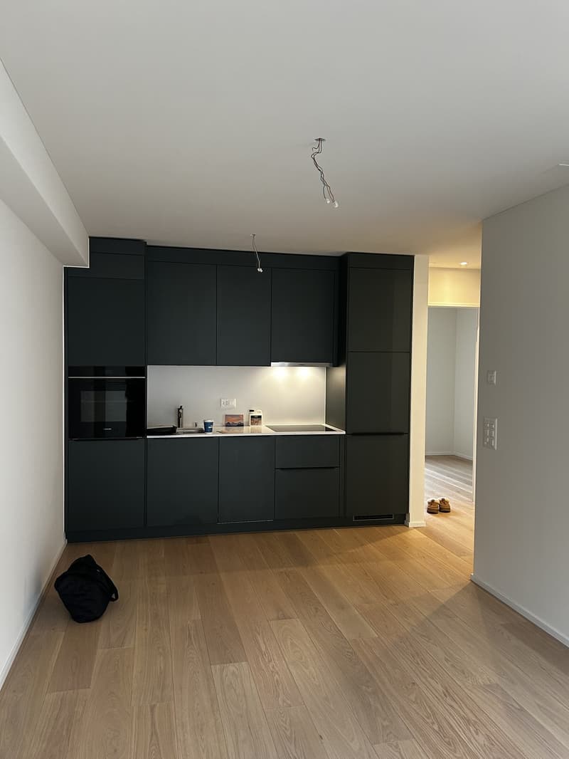 Bright Flat in one of Zurich's most connected addresses Available Immediately or by Arrangement (6)