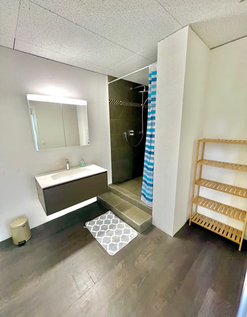 Sehr grosses Zimmer in moderner Wohnung :) (4)