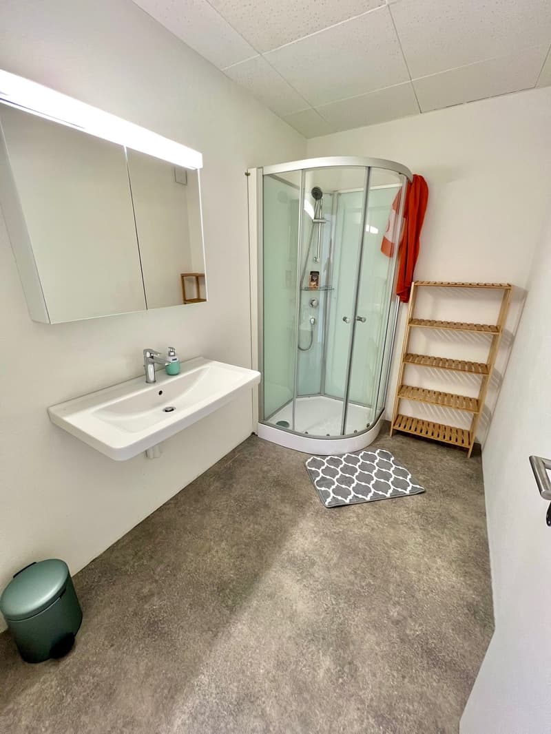 Sehr grosses Zimmer in moderner Wohnung :) (5)