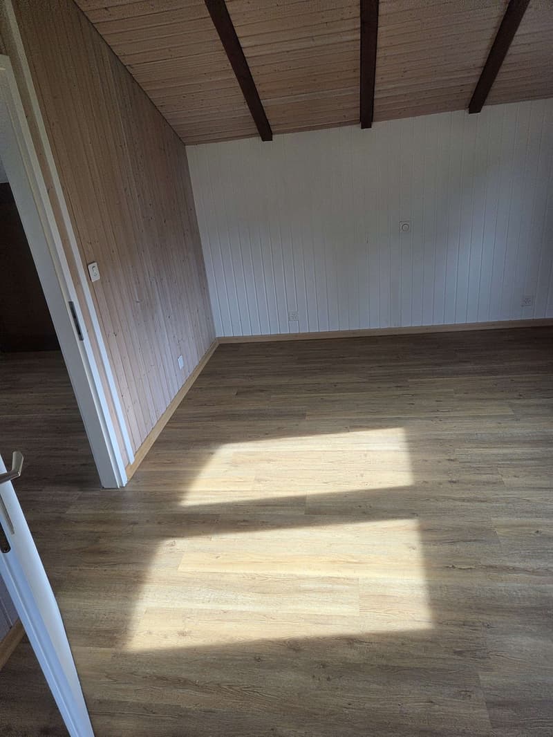 Beautiful 2.5-room apartment for rent in Port (7)