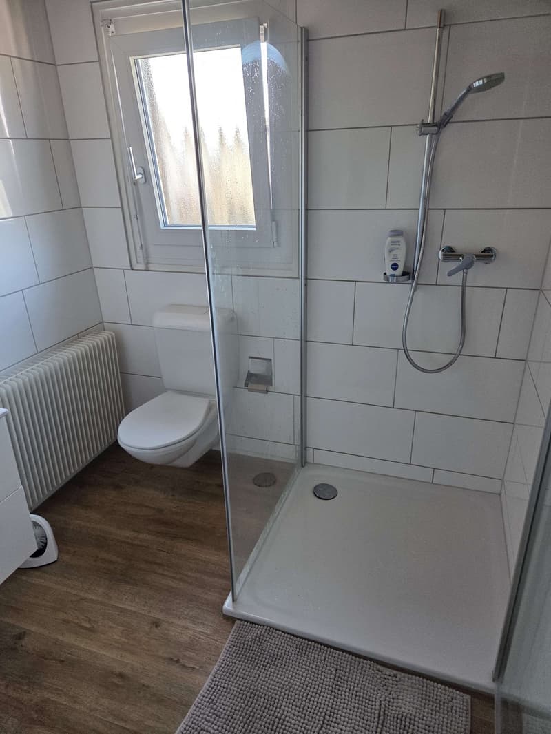 Beautiful 2.5-room apartment for rent in Port (3)