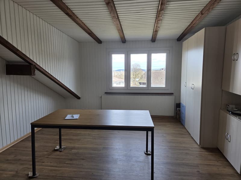 Beautiful 2.5-room apartment for rent in Port (5)