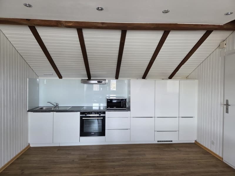 Beautiful 2.5-room apartment for rent in Port (1)