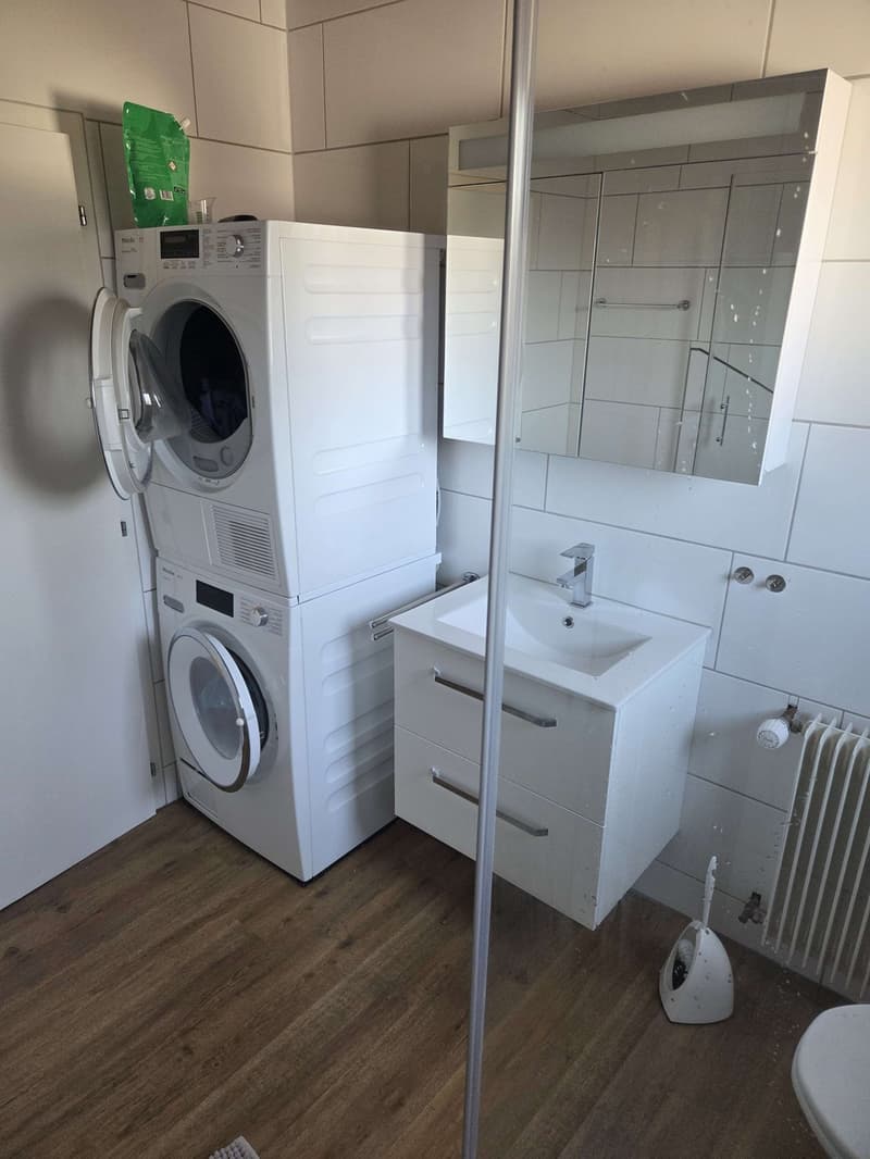 Beautiful 2.5-room apartment for rent in Port (6)