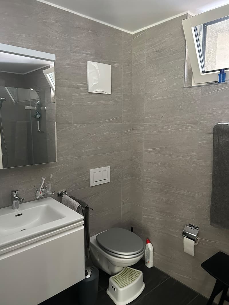 Temporaire : Appartement meublé moderne près d'Albisriederplatz (8)
