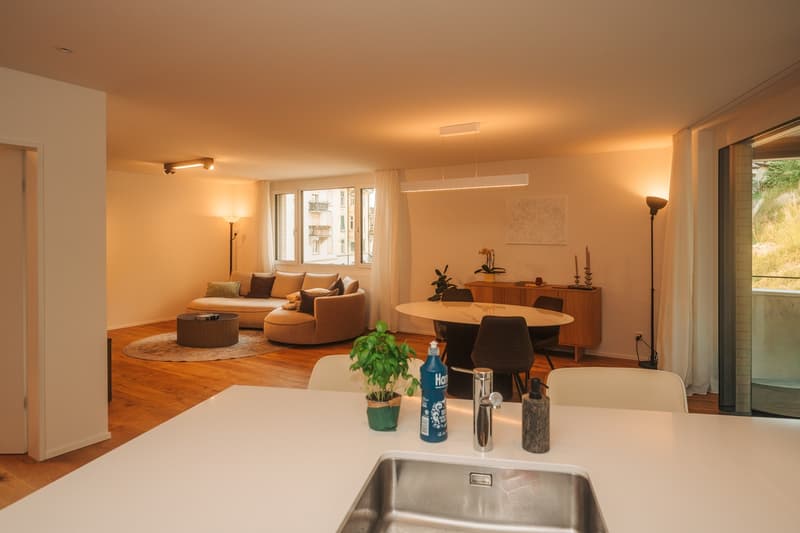 Exklusive 4.5-Zimmer-Wohnung im Ruckhalde-Quartier  115m², Kochinsel & Terrasse (Möbelübernahme möglich!) (4)