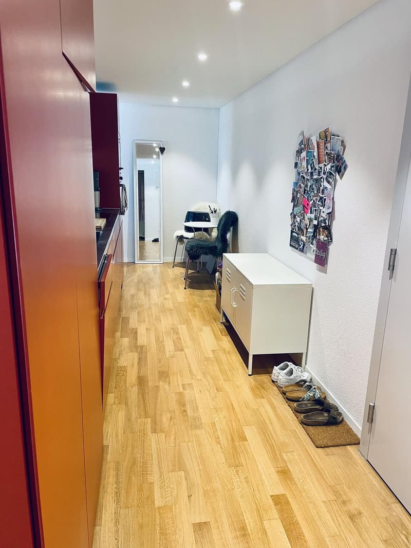 2 ½ Zimmer-Wohnung, 6003 Luzern (6)