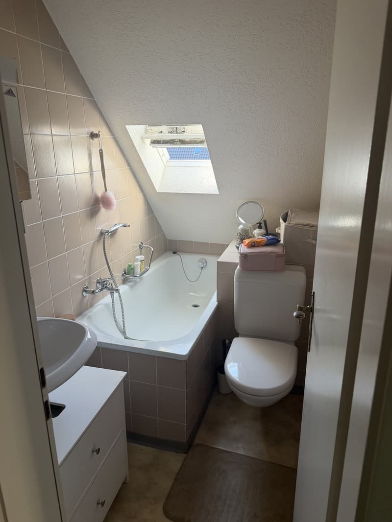 Cute appartment in Zurich city (3)