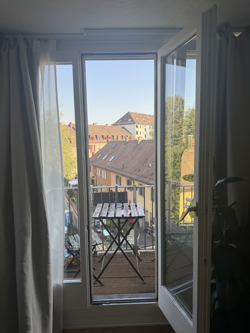 Cute appartment in Zurich city (5)