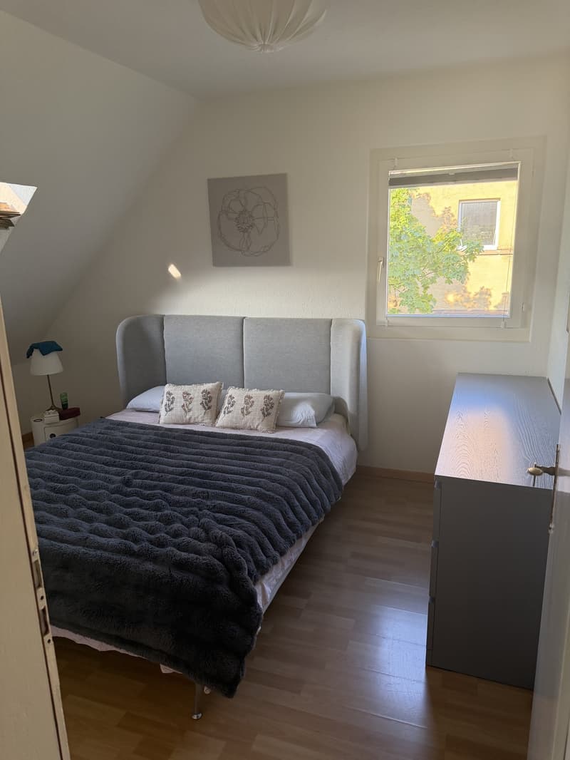 Cute appartment in Zurich city (1)