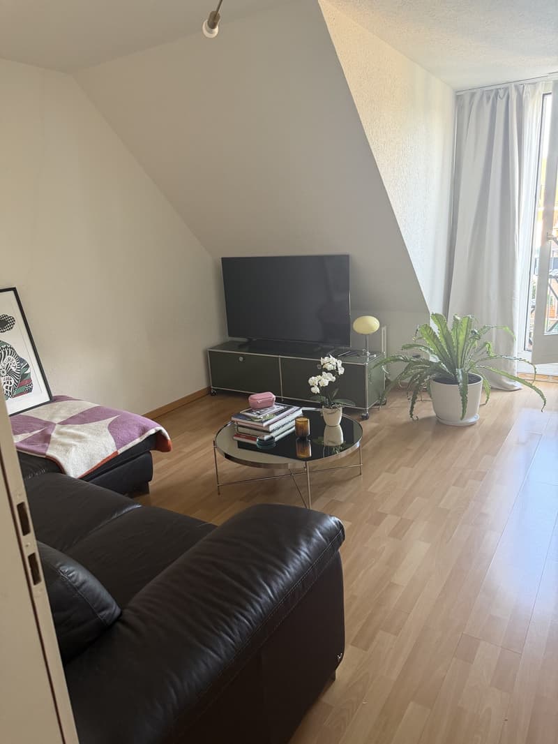 Cute appartment in Zurich city (4)