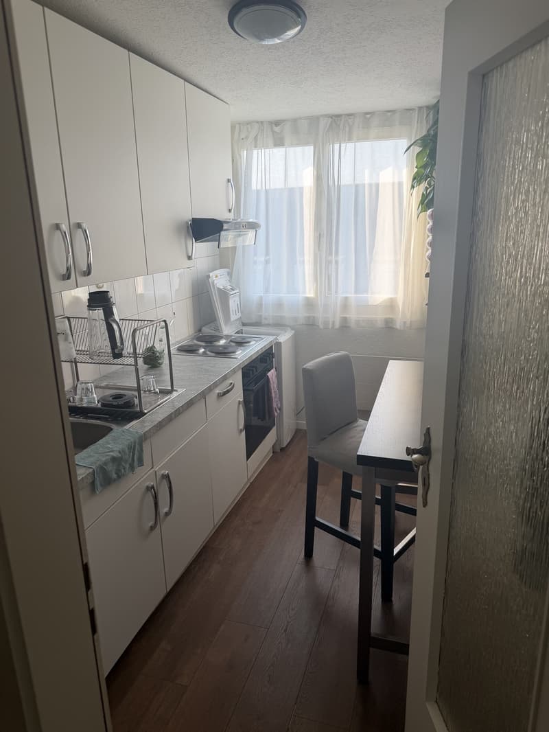 Cute appartment in Zurich city (2)