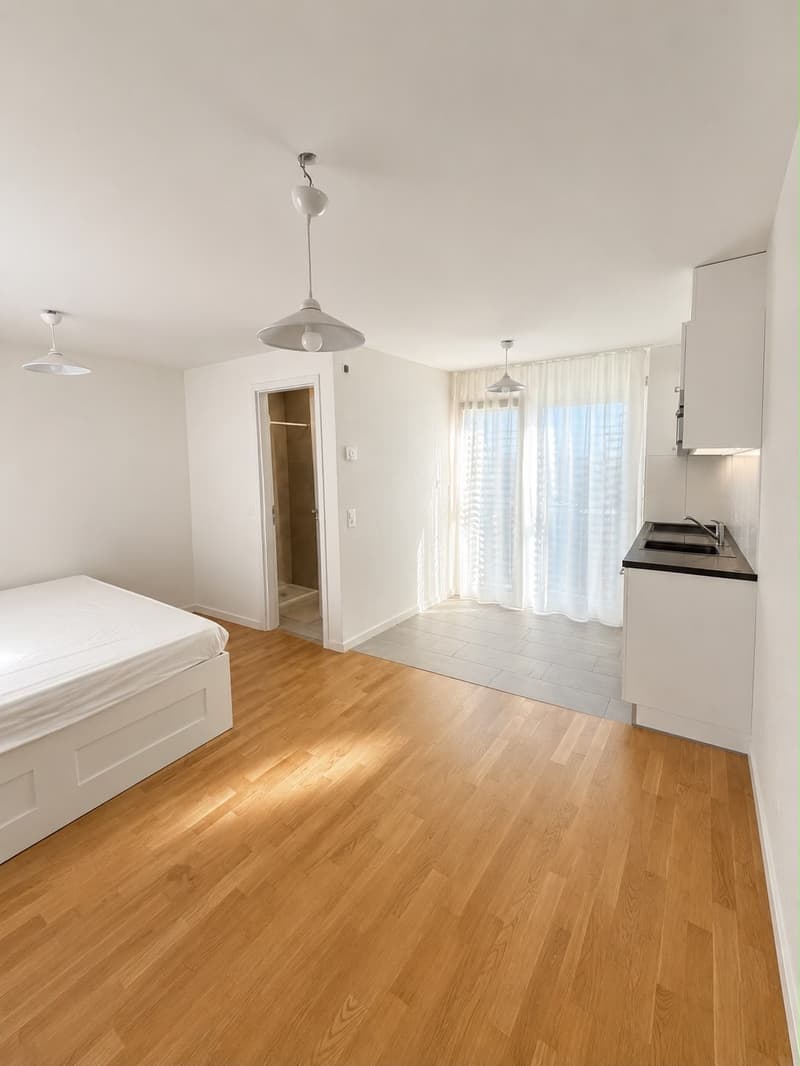 Studio luminoso di 22 m² a Mont-sur-Lausanne, ripresa del contratto il 1° settembre (1)