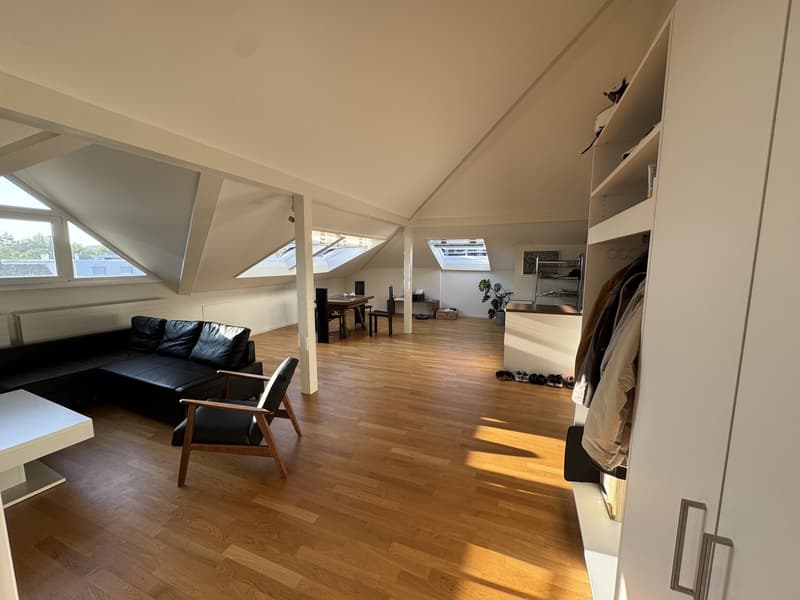 Dachwohnung (mit AC!) (7)