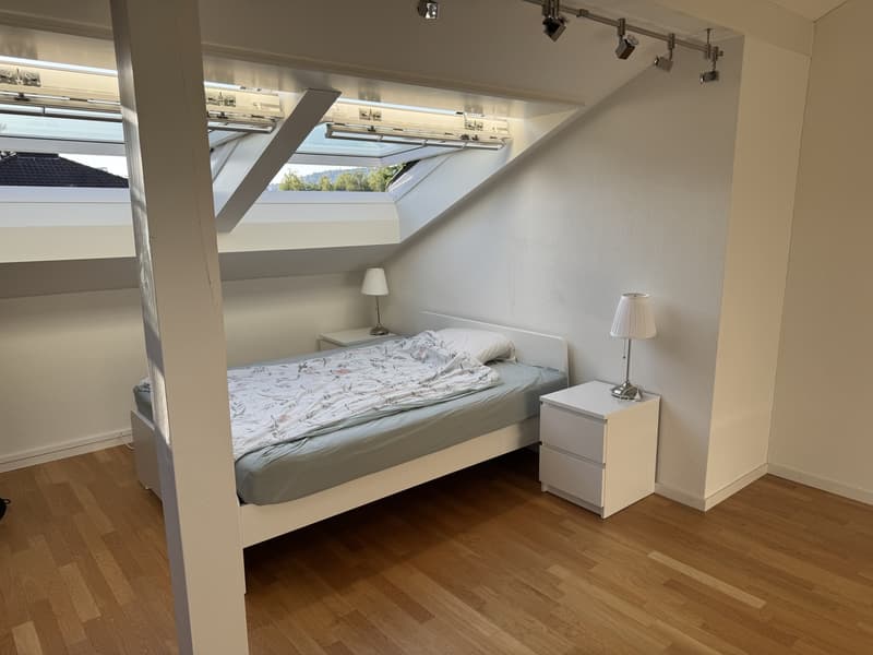 Dachwohnung (mit AC!) (2)
