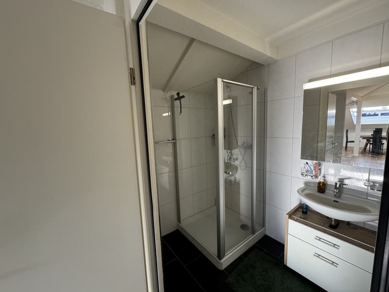 Dachwohnung (mit AC!) (13)